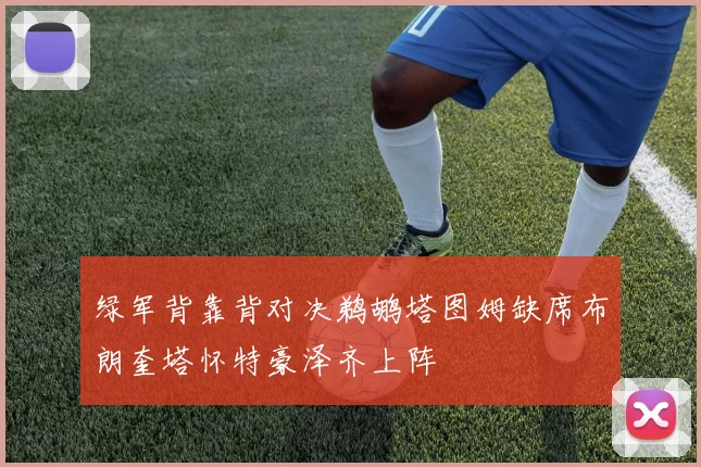 绿军背靠背对决鹈鹕塔图姆缺席布朗奎塔怀特豪泽齐上阵